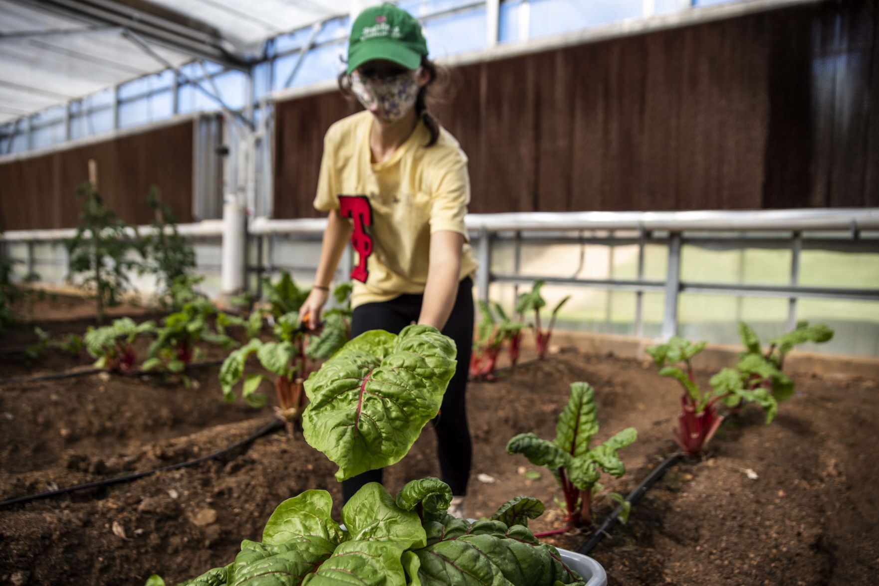 Sweet Briar College Greenhouse